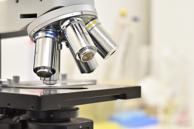 新癸酸鉍催化劑在聚氨酯催化體系中的應(yīng)用與性能優(yōu)化